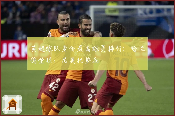 英超球队身价最高球员排行：哈兰德登顶，尼奥托垫底