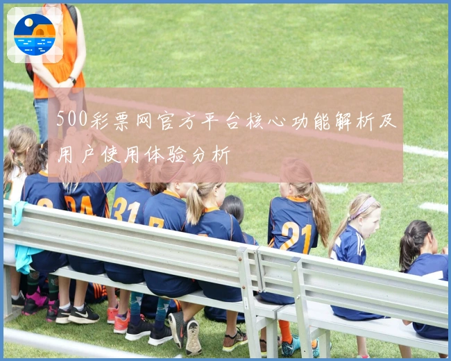 500彩票网官方平台核心功能解析及用户使用体验分析